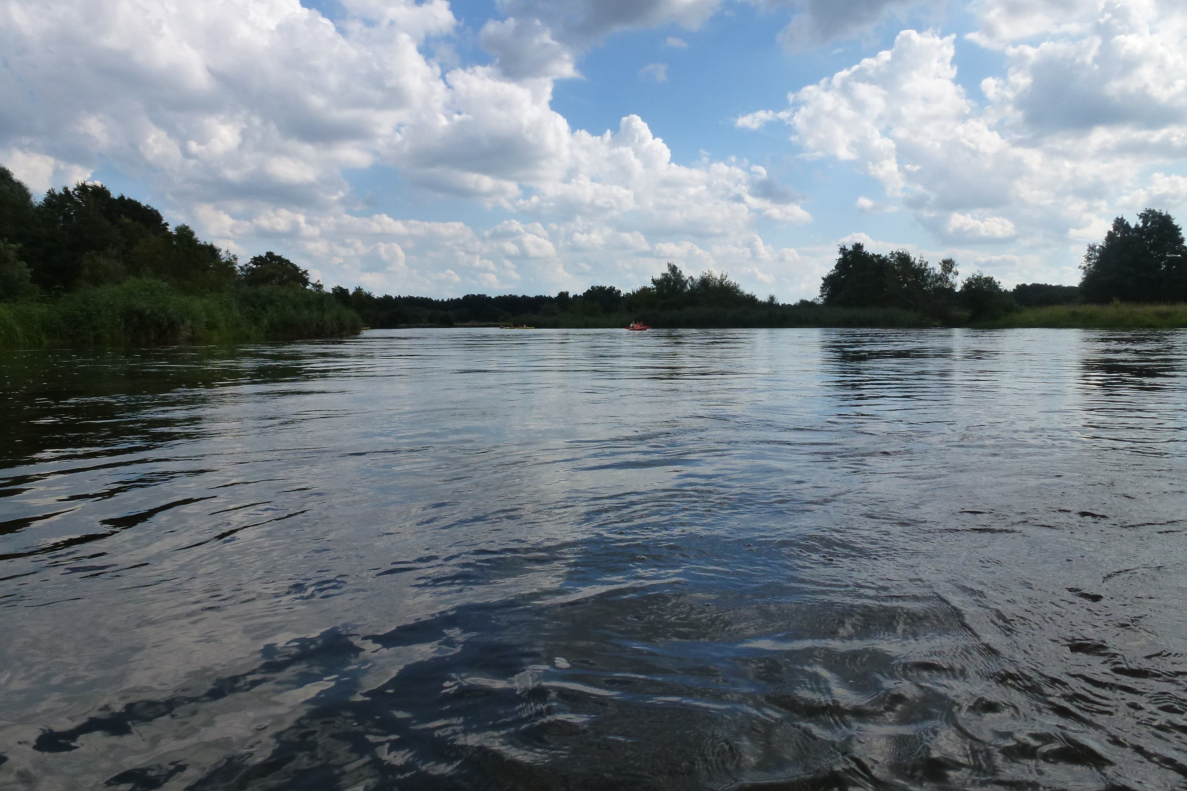 Piękny widok na szerokie koryto rzeki Pilicy, idealne na spływ kajakowy