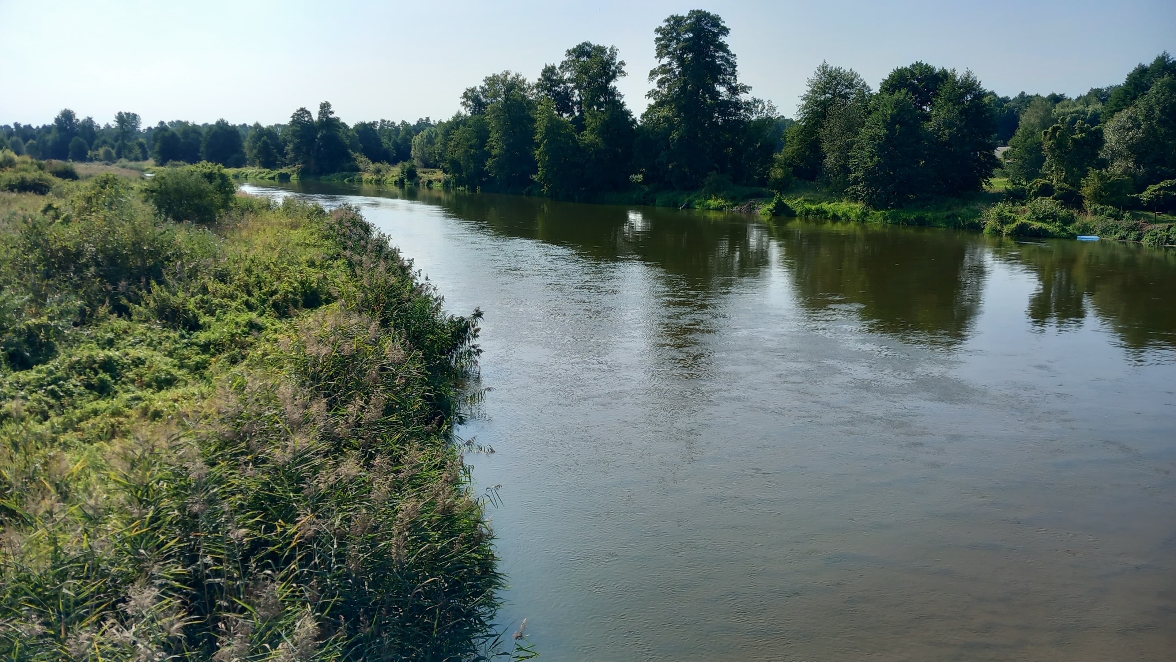 Kajaki zacumowane nad brzegiem rzeki Pilicy, Biejków